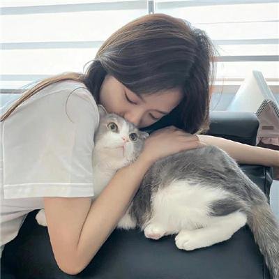 恋爱冒险海报