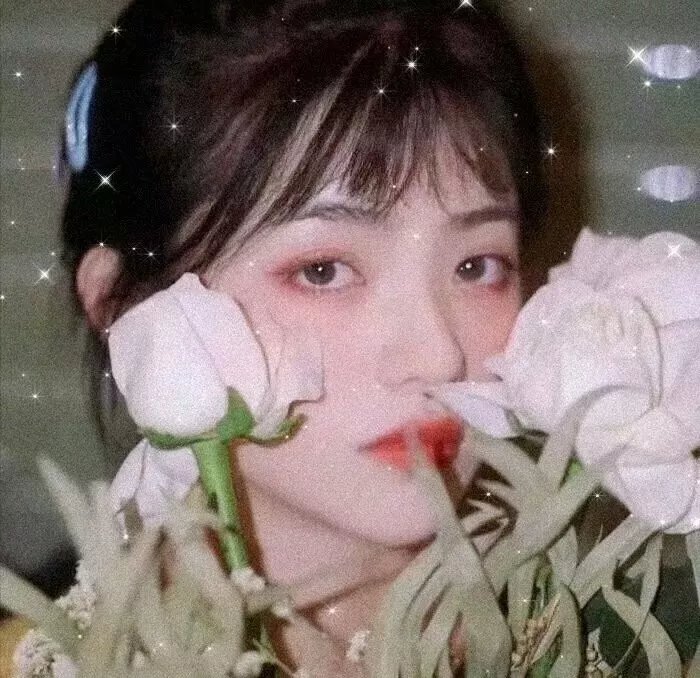 红星闪亮海报