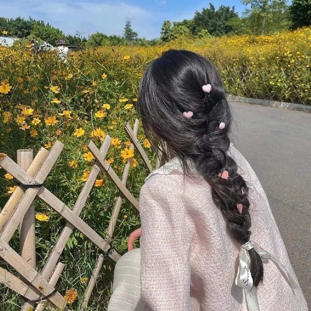 菊石海报